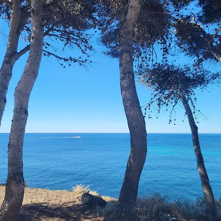 Appartamento A 50M Du Port De Carry-Cote Bleue Esterno foto